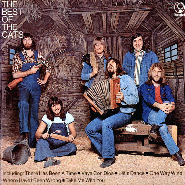 Cats - The Best Of The Cats (LP) 42423b Vinyl LP Vinyl Goed / Hoes Redelijk