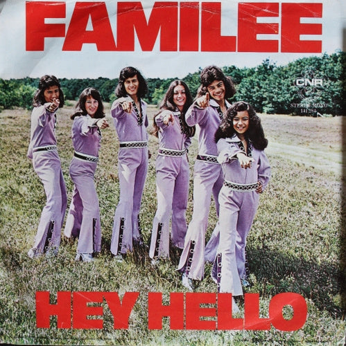Familee - Do We Love Each Other Enough Vinyl Singles Vinyl Zeer Goed / Hoesje Goed "VINYLSINGLES.NL"
