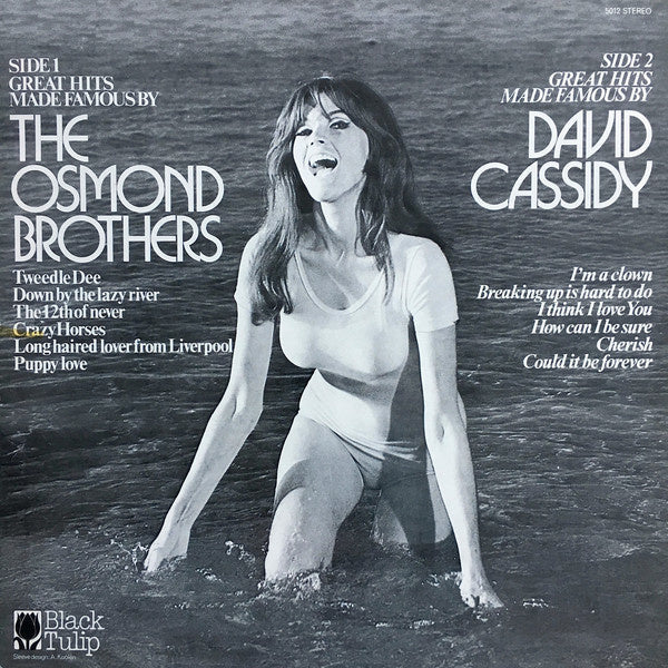 Unknown Artist - Great Hits Made Famous By The Osmond Brothers, David Cassidy (LP) 40413 Vinyl LP Vinyl Goed / Hoes Goed