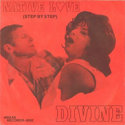 Divine - Native Love (Step By Step) Vinyl Singles Vinyl Zeer Goed / Hoesje Goed "VINYLSINGLES.NL"