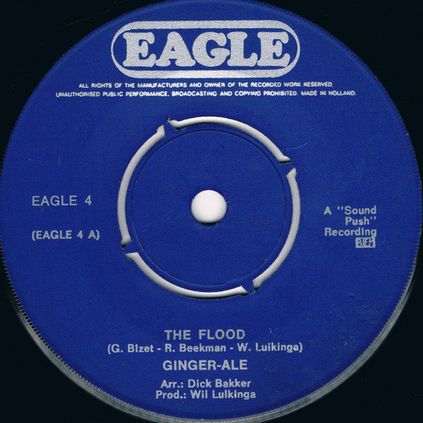Ginger Ale - The Flood 34127