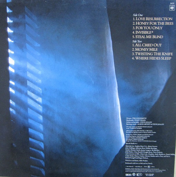 Alison Moyet - Alf (LP) 51874b Vinyl LP Vinyl Goed / Hoes Goed