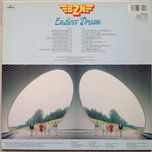 BZN - Endless Dream (LP) Vinyl LP Vinyl Zeer Goed / Hoesje Goed "VINYLSINGLES.NL"