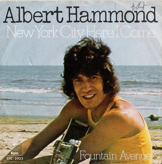 Albert Hammond - New York City Here I Come 38760 Vinyl Singles Vinyl Goed / Hoes Goed