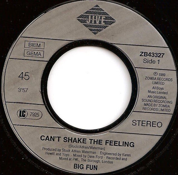 Big Fun - Can't Shake The Feeling 14190