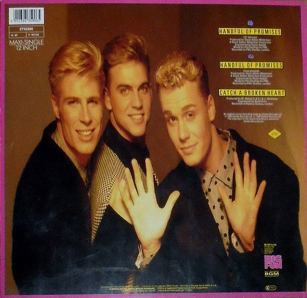 Big Fun - Handful Of Promises (Maxi-Single) (B-Keus) Maxi-Singles Vinyl (G) <br> Hoes (F) "VINYLSINGLES.NL"