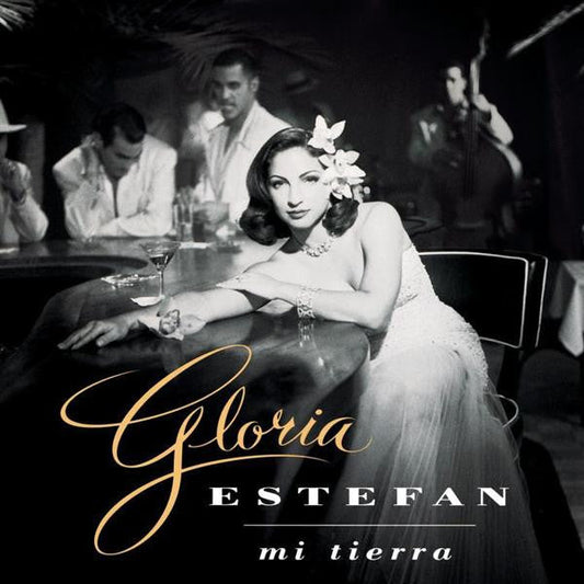 Gloria Estefan - Mi Tierra (CD) 70878 Compact Disc Goede Staat