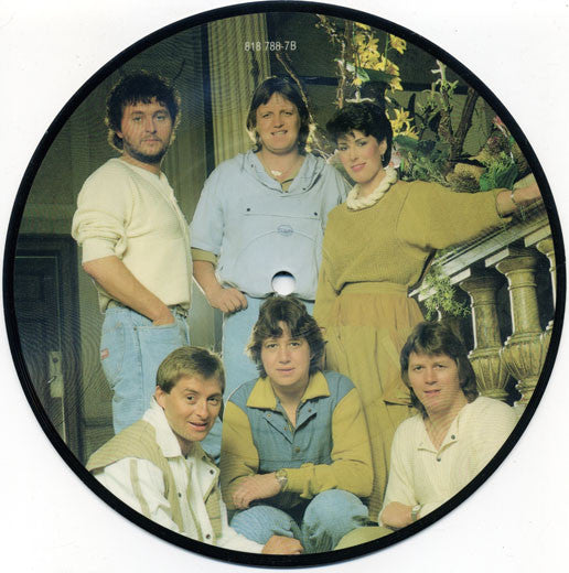 BZN - If I Say The Words (Picture Disc) 41322 Vinyl Singles Vinyl Goed / Hoes Generic