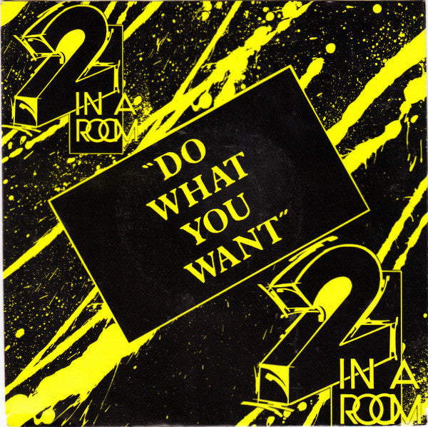 2 In A Room - Do What You Want Vinyl Singles Vinyl Goed / Hoes Goed