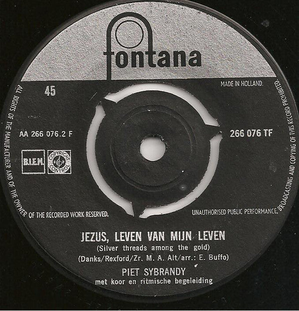 Piet Sybrandy – Das raue Holzkreuz 18591