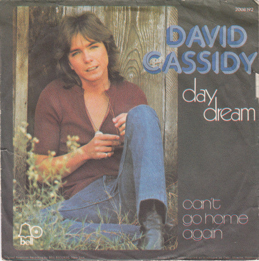 David Cassidy - Day Dream 11336 Vinyl Singles Vinyl Goed / Hoes Goed