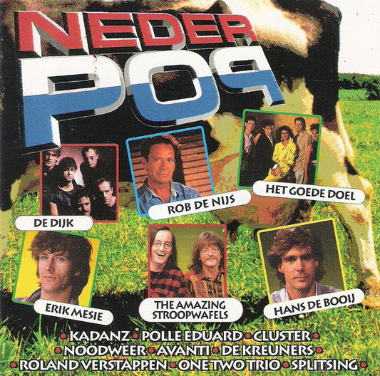 Various - Nederpop (CD) 70726 Compact Disc Goede Staat