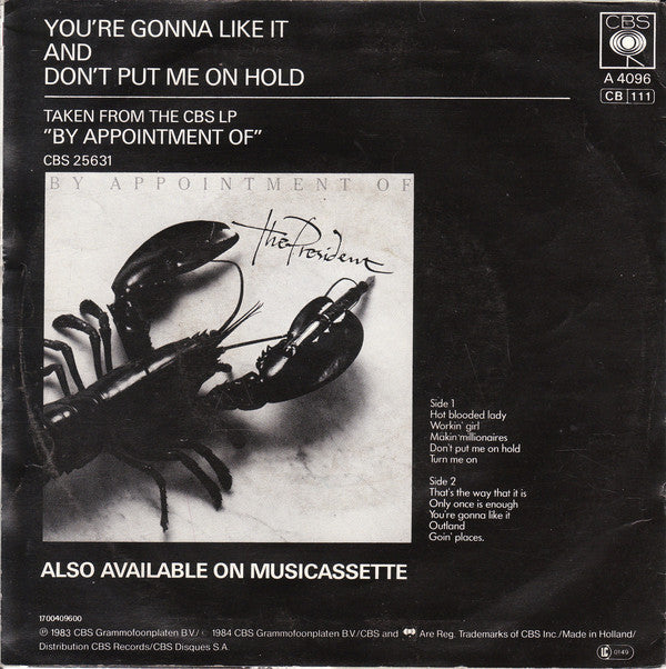 President - You're Gonna Like It 04105 Vinyl Singles Vinyl Goed / Hoes Goed