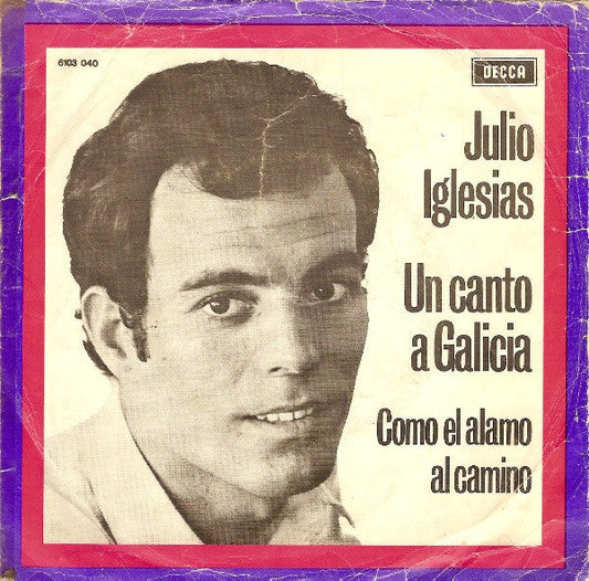 Julio Iglesias - Un Canto A Galicia 40473 Vinyl Singles Vinyl Goed / Hoes Goed