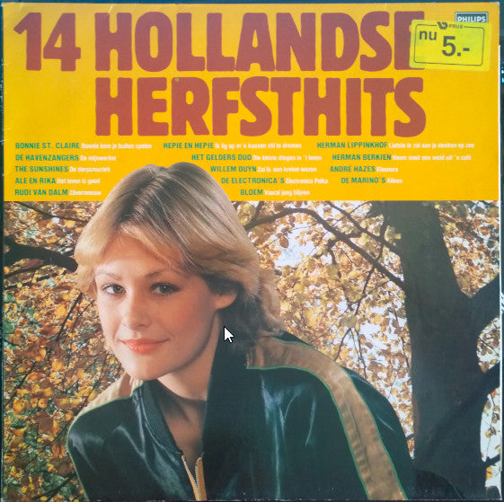 Various - 14 Hollandse Herfsthits (LP) 41215 Vinyl LP Vinyl Goed / Hoes Goed
