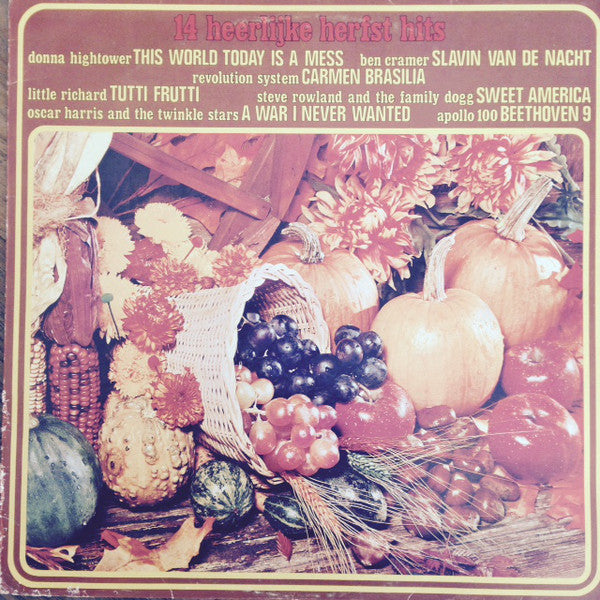 Various - 14 Heerlijke Herfst Hits (LP) 41924 Vinyl LP Vinyl Goed / Hoes Goed
