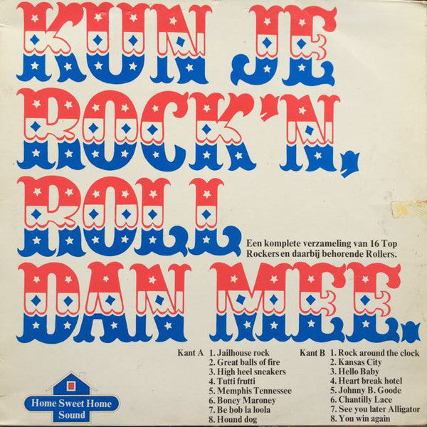 Unknown Artist - Can You Still Rock Roll Dan Mee (LP) 43270