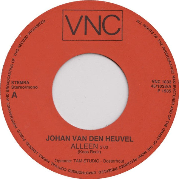 Johan Van Den Heuvel – Der alte Musiker 15664 35883