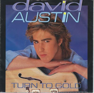 David Austin - Turn To Gold Vinyl Singles Media VG+ / Sleeve G "VINYLSINGLES.NL"
