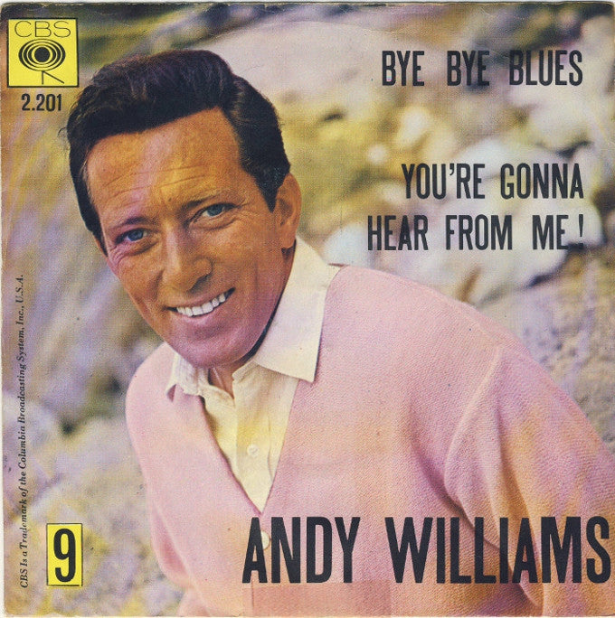 Andy Williams - Bye Bye Blues Vinyl Singles Vinyl Zeer Goed / Hoesje Goed "VINYLSINGLES.NL"
