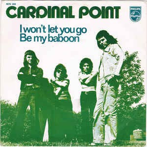 Cardinal Point - I Won't Let You Go 17995 Vinyl Singles Vinyl Goed / Hoes Goed