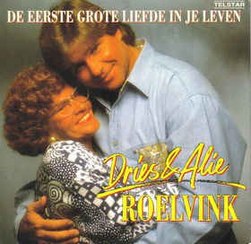 Dries & Alie Roelvink - De Eerste Grote Liefde In Je Leven 16531 Vinyl Singles Vinyl Goed / Hoes Goed