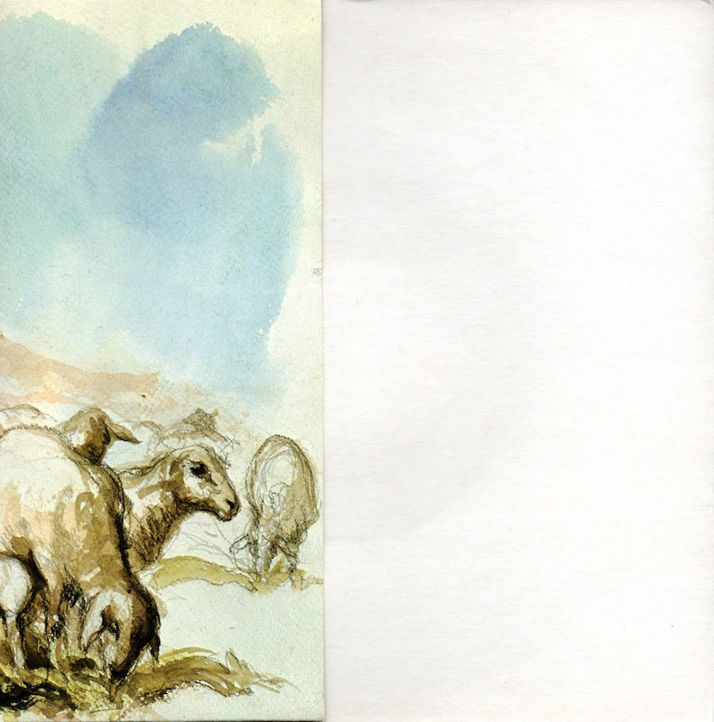 Harry & Marijke Govers En Het Tienerkoor Uit Ridderkerk - De Goede Herder 01279 Vinyl Singles Vinyl Goed / Hoes Goed