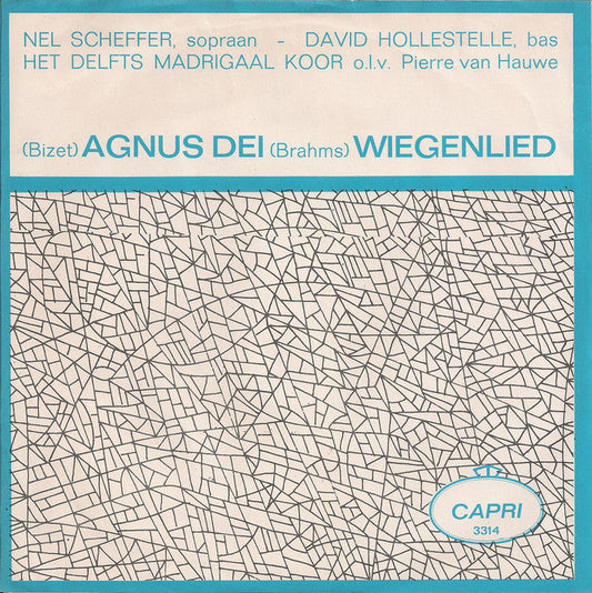 Nel Scheffer, David Hollestelle, Delfts Madrigaalkoor - Agnus Dei 22423 Vinyl Singles Vinyl Goed / Hoes Goed