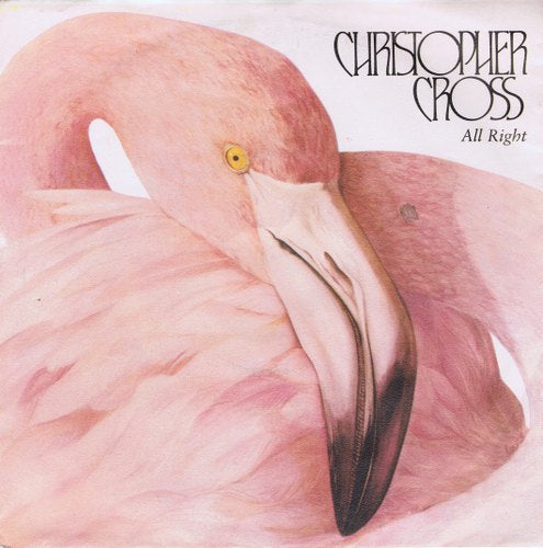 Christopher Cross - All Right 41165 Vinyl Singles Vinyl Zeer Goed / Hoesje Goed "VINYLSINGLES.NL"
