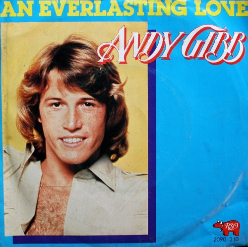 Andy Gibb - Eine ewige Liebe 12218