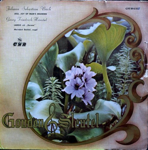 Meindert Boekel - Largo 08241