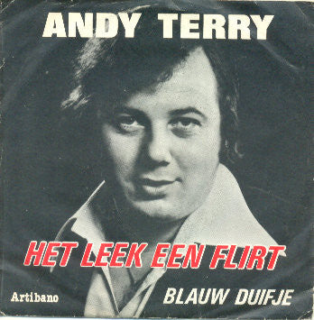 Andy Terry - Het Leek Een Flirt Vinyl Singles Vinyl Zeer Goed / Hoesje Goed "VINYLSINGLES.NL"