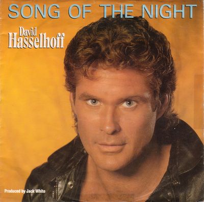 David Hasselhoff - Song Of The Night Vinyl Singles Vinyl Zeer Goed / Hoesje Goed "VINYLSINGLES.NL"