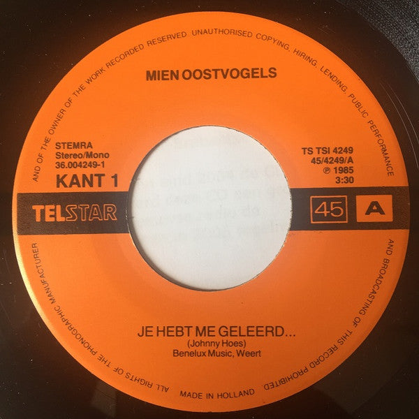 Mien Oostvogels – Du hast es mir beigebracht 14203