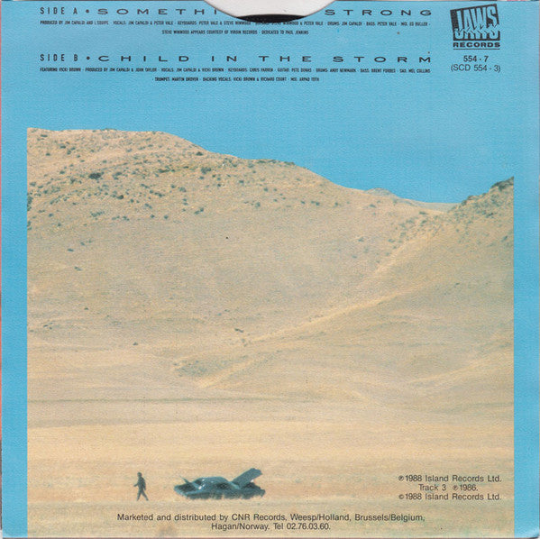 Jim Capaldi - Something So Strong 35828