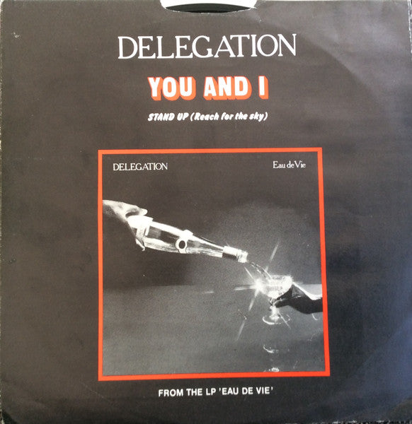Delegation - You And I 41887 Vinyl Singles Vinyl Goed / Hoes Goed