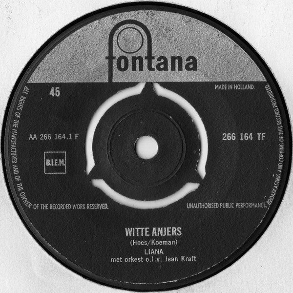 Liana - White Carnations 28851