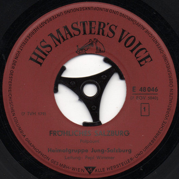 Heimatgruppe Jung-Salzburg - Fröhliches Salzburg Vinyl Singles Vinyl Zeer Goed / Hoesje Goed "VINYLSINGLES.NL"