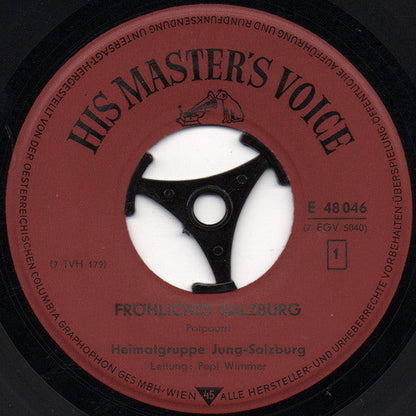 Heimatgruppe Jung-Salzburg - Fröhliches Salzburg Vinyl Singles Vinyl Zeer Goed / Hoesje Goed "VINYLSINGLES.NL"