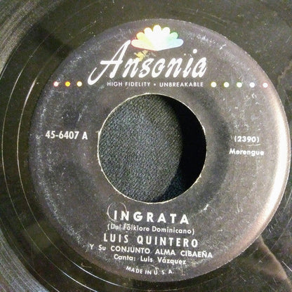 Luis Quintero Y Su Conjunto Alma Cibaena - Ingrata 19915