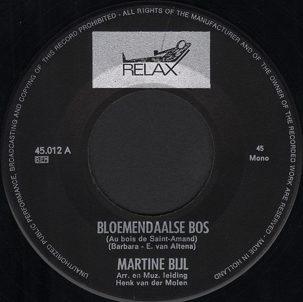 Martine Bijl - Bloemendaal Forest 35081