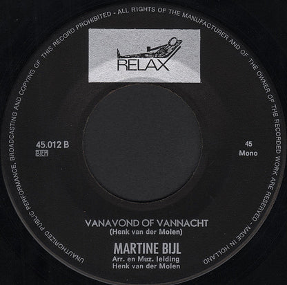 Martine Bijl - Bloemendaal Forest 35081