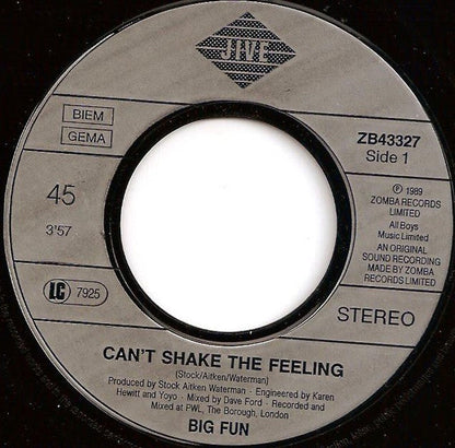 Big Fun ‎- Can't Shake The Feeling 14190