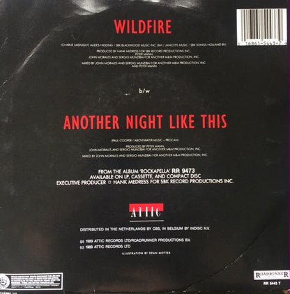 Nylons - Wildfire 21946 Vinyl Singles Vinyl Goed / Hoes Goed