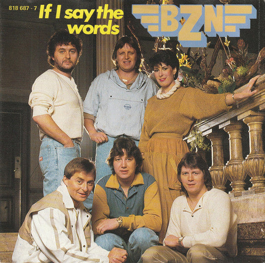 BZN ‎- If I Say The Words 19175 Vinyl Singles Vinyl Zeer Goed / Hoesje Goed "VINYLSINGLES.NL"