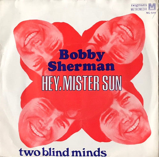 Bobby Sherman - Hey, Mister Sun 31799