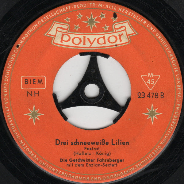 Geschwister Fahrnberger - Es Läuten Die Glocken Am Königsee 41022 Vinyl Singles Vinyl Goed / Hoes Goed