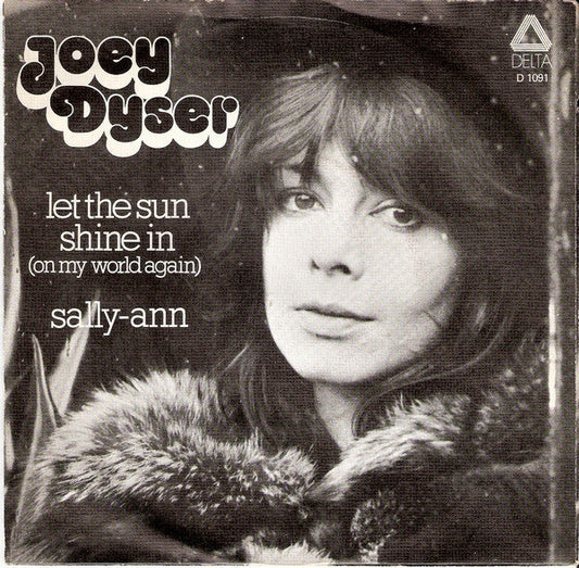 Joey Dyser - Lass die Sonne herein 10538 31868