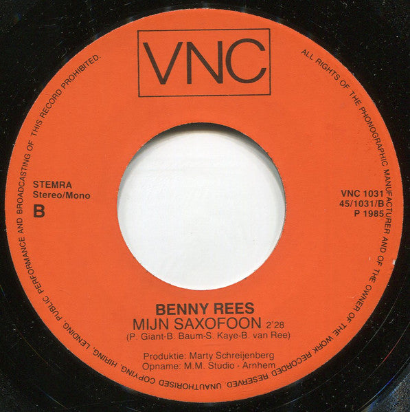 Benny Rees - Anneliesje 36360 Vinyl Singles Vinyl Zeer Goed / Hoesje Goed "VINYLSINGLES.NL"