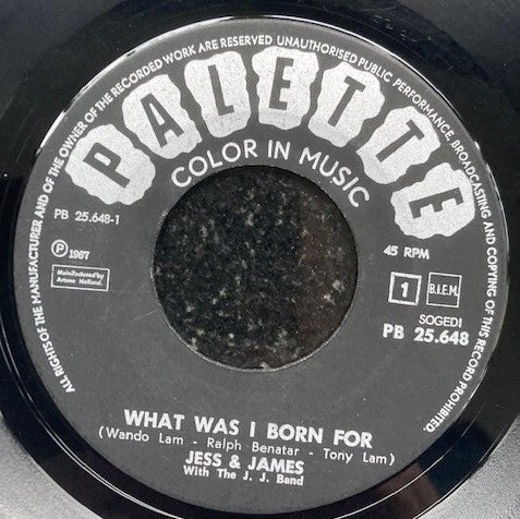Jess & James, The J.J. Band - What Was I Born For 42399 Vinyl Singles Vinyl Goed / Hoes Generic
